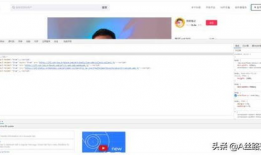 大黄网站视频,精彩瞬间回顾